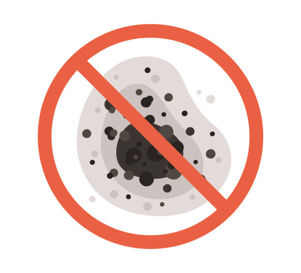 Best Real Estate Mold Inspection  in Beaver, UT