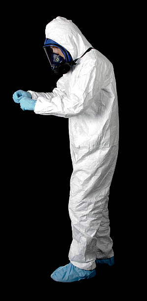 Best Black Mold Removal  in Beaver, UT