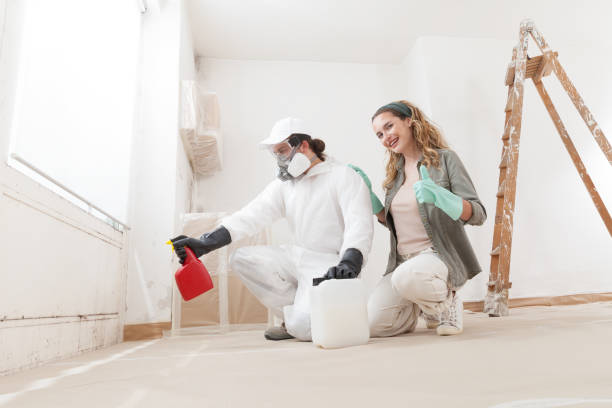 Best Indoor Air Quality Assessment  in Beaver, UT